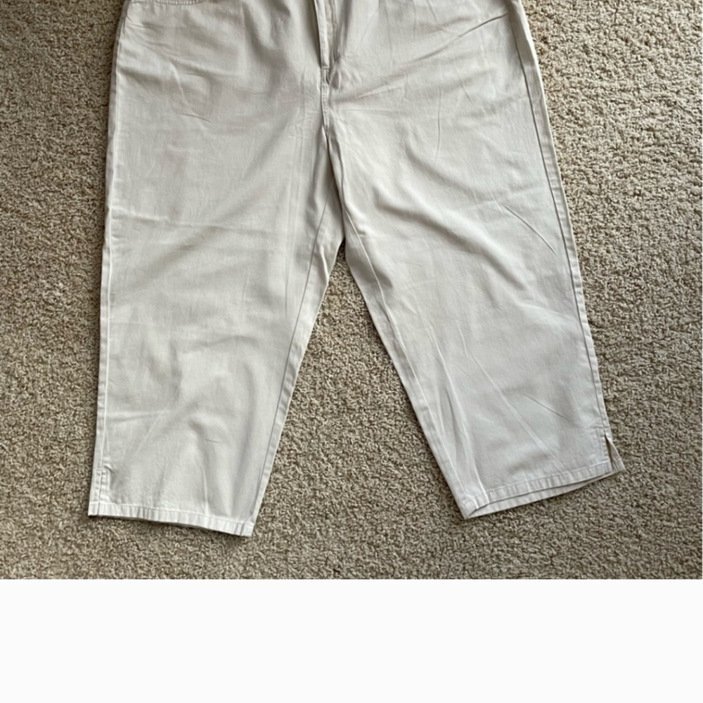 Sharon Anthony Women’s Plus Capris Pants Stone Color NWT Size 22 W